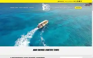 Mauisnorkelcharters.com Screenshot 2024-05-16 07:14:02