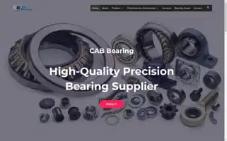 Precision-bearings.com Screenshot 2024-06-26 13:25:14