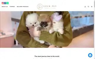 Yourpetteacuppups.com Screenshot 2024-05-03 17:01:02