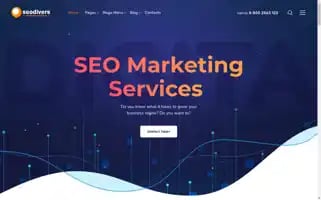 Seodivers.net Screenshot 2024-05-26 17:05:55