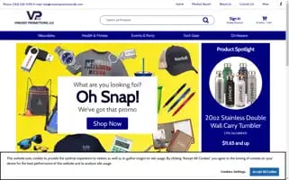 Vpromotionsllc.com Screenshot 2024-05-16 23:30:05