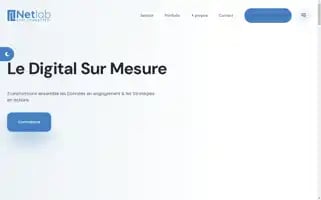 Netlabdz.com Screenshot 2024-06-18 08:52:17