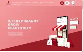 Siliconvalleywebsolution.com Screenshot 2024-06-26 20:08:11