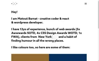Matousbarnat.com Screenshot 2024-06-18 09:58:46