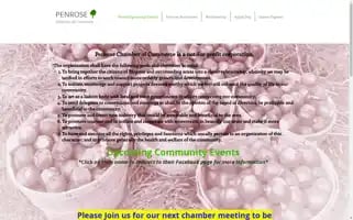 Penrosechamber.org Screenshot 2024-07-04 05:55:46