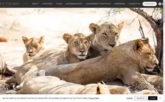 Assuredtours.co.za Screenshot 2024-04-17 15:27:49