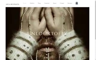 Unlocktofly.com Screenshot 2024-07-01 09:54:59