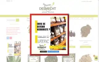 Desmecht.com Screenshot 2024-06-11 06:18:24