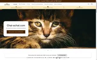 Chat-achat.com Screenshot 2024-05-03 16:39:30