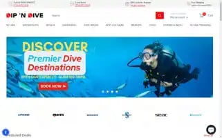 Dipndive.com Screenshot 2024-05-04 11:47:24