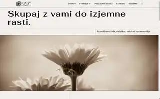 Daisynet.net Screenshot 2024-05-21 16:46:33