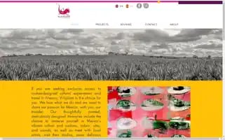 Ajolotetravel.com Screenshot 2024-04-22 10:38:25