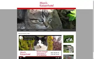 Katzenhotel-balsthal.ch Screenshot 2024-04-18 16:18:29