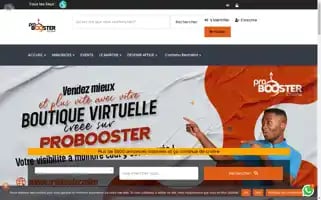 Probooster.online Screenshot 2024-05-24 08:40:36