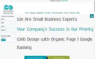 Twodegreesmarketing.com Screenshot 2024-06-14 00:15:11