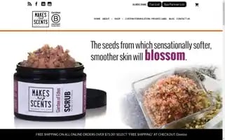 Makesscentsspaline.com Screenshot 2024-06-12 02:12:46
