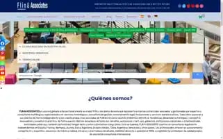 Flin.pro Screenshot 2024-06-16 14:05:50