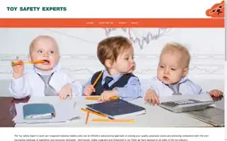 Toysafetyexperts.com Screenshot 2024-07-06 17:41:24