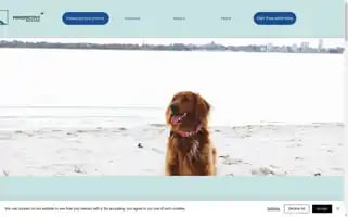 Pettravelthailand.com Screenshot 2024-04-16 07:36:57