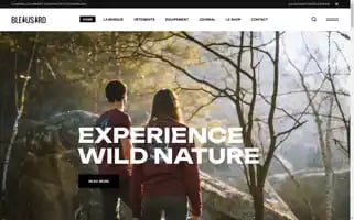 Bleausard.fr Screenshot 2024-06-27 07:29:15