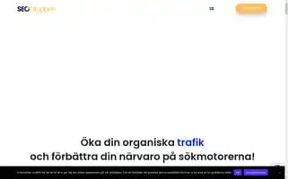 Seogruppen.se Screenshot 2024-06-26 03:56:20