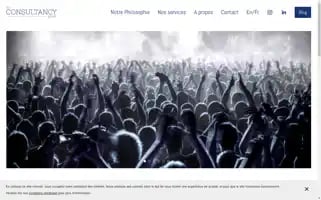 Theconsultancy-group.ch Screenshot 2024-06-14 00:34:27