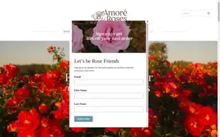 Amoreroses.co.nz Screenshot 2024-06-29 17:08:57