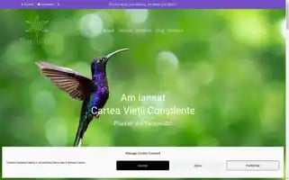 Merlinart.ro Screenshot 2024-05-20 16:00:11