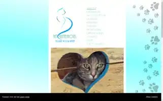 Hetkattenhotel.nl Screenshot 2024-04-25 13:19:26