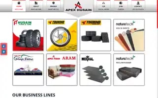 Apexhusain.com Screenshot 2024-06-17 22:21:49