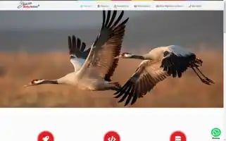 Turnatasarim.com Screenshot 2024-06-16 04:46:00