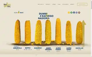 Agro-up.com.pl Screenshot 2024-06-15 09:41:58