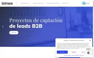 Bilnea.com Screenshot 2024-07-02 18:50:30