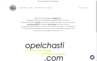 Opelchasti.com Screenshot 2024-04-27 11:57:12