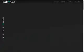 Satconsult.eu Screenshot 2024-07-03 03:13:33