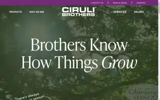 Cirulibrothers.com Screenshot 2024-06-30 13:34:48