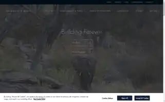 Debeersgroup.com Screenshot 2024-06-30 00:52:40