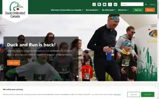 Ducks.ca Screenshot 2024-06-17 18:44:06