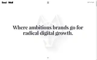 Soulandwolf.com.au Screenshot 2024-07-05 14:46:17