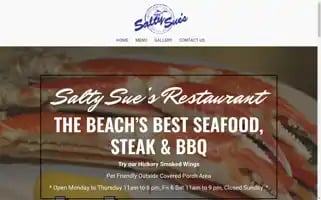 Saltysues.com Screenshot 2024-05-16 16:07:20