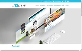 Lopale.fr Screenshot 2024-06-18 13:28:38