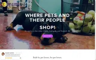 Wagstowiskers.com Screenshot 2024-05-14 23:22:23