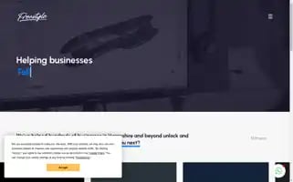 Freestyle.digital Screenshot 2024-06-18 09:33:14