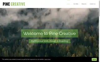 Pinecreative.co.uk Screenshot 2024-07-03 03:34:37