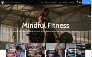 Synergyperformanceinstitute.com.au Screenshot 2024-05-19 13:28:17