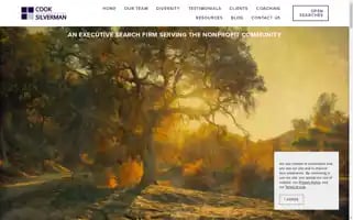 Cooksilverman.com Screenshot 2024-07-02 15:58:20