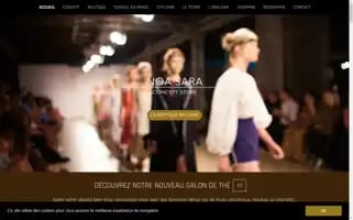 Noasara.fr Screenshot 2024-06-17 09:44:17