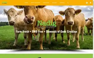 Nadigfamilyfarm.com Screenshot 2024-05-27 11:29:27