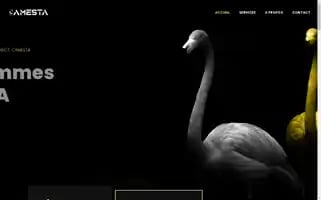 Camesta.ch Screenshot 2024-06-18 08:16:07