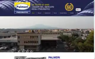 Palmeripneumatici.it Screenshot 2024-06-28 02:05:34